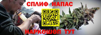 гидропоника Донской