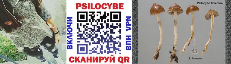 Псилоцибиновые грибы Psilocybine cubensis  Крымск 
