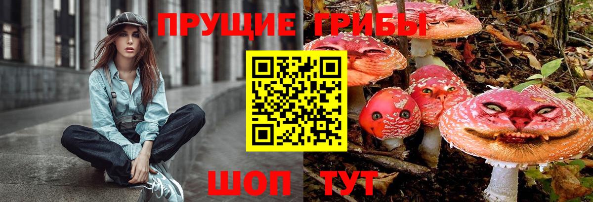 Псилоцибиновые грибы Psilocybe  купить  сайты  Псилоцибиновые грибы MAGIC MUSHROOMS  Крымск 