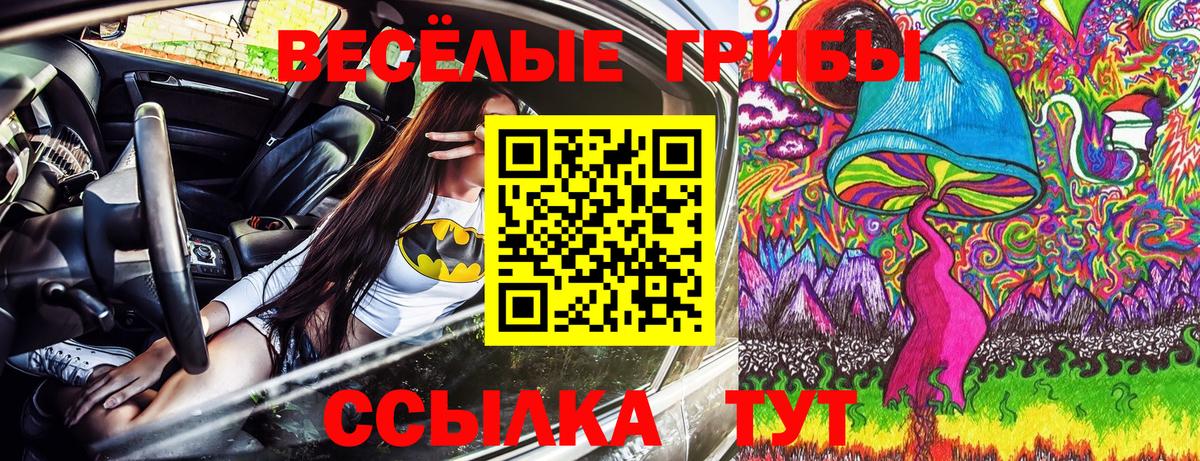 Галлюциногенные грибы Psilocybe Крымск